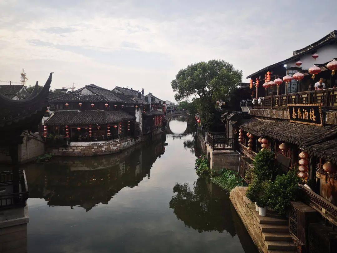 饥饿的松鼠救援
